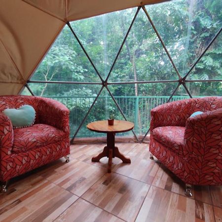 Tree houses Bosque Nuboso Monteverde Extérieur photo