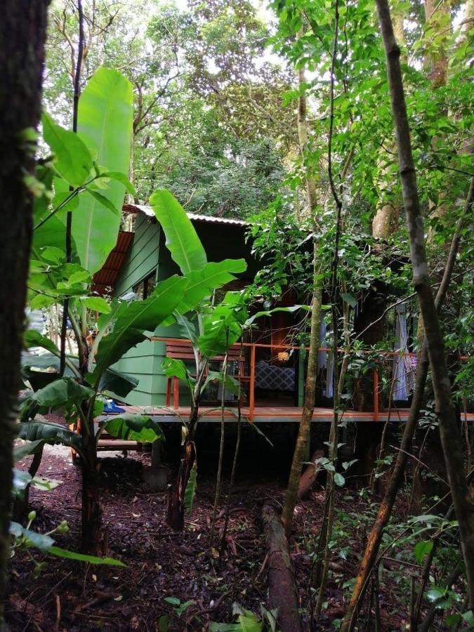 Tree houses Bosque Nuboso Monteverde Extérieur photo