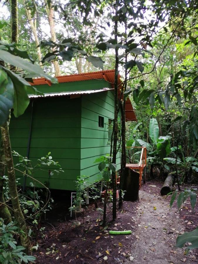 Tree houses Bosque Nuboso Monteverde Extérieur photo