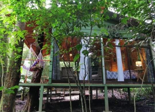 Tree houses Bosque Nuboso Monteverde Extérieur photo