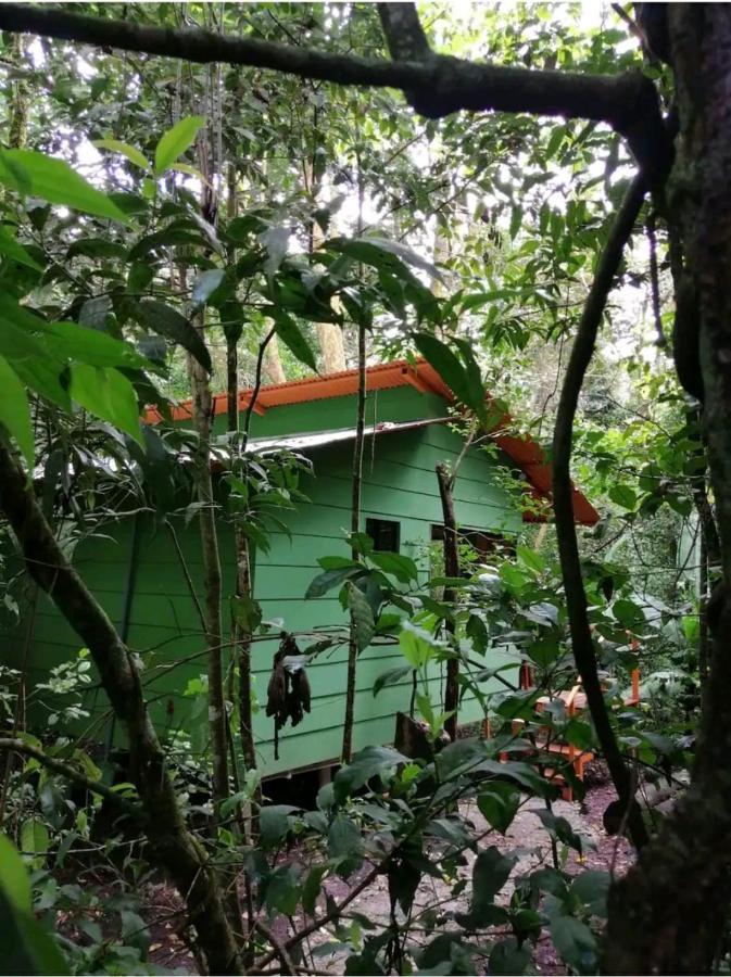 Tree houses Bosque Nuboso Monteverde Extérieur photo